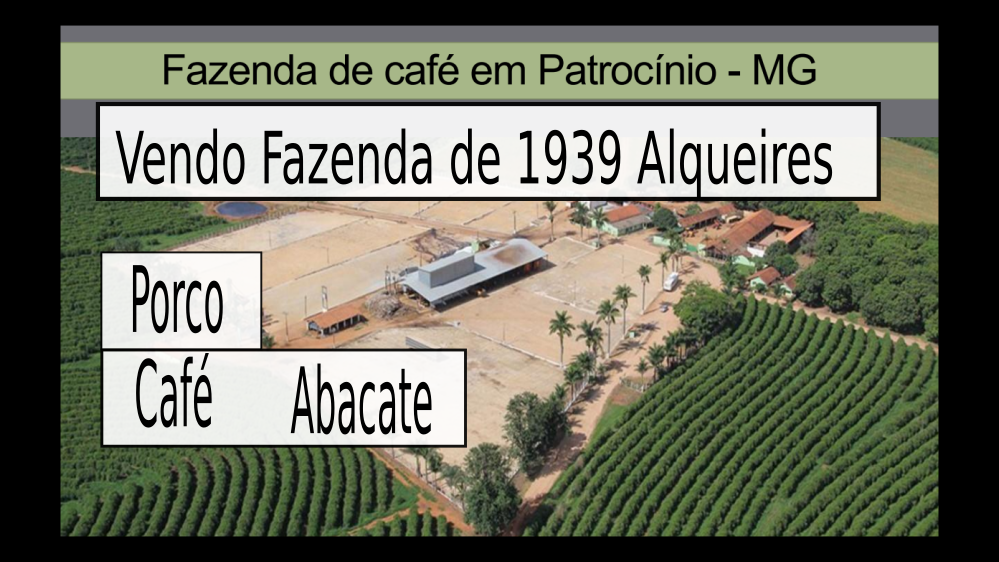 FAZENDA PATROCINIO-MG CAFECULTURA E CIA 01111