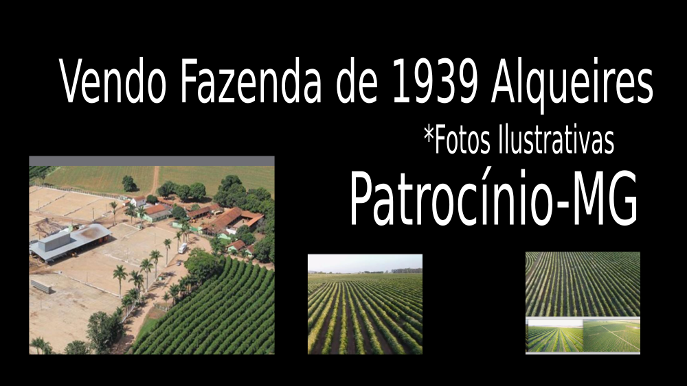 FAZENDA PATROCINIO-MG CAFECULTURA E CIA 01112
