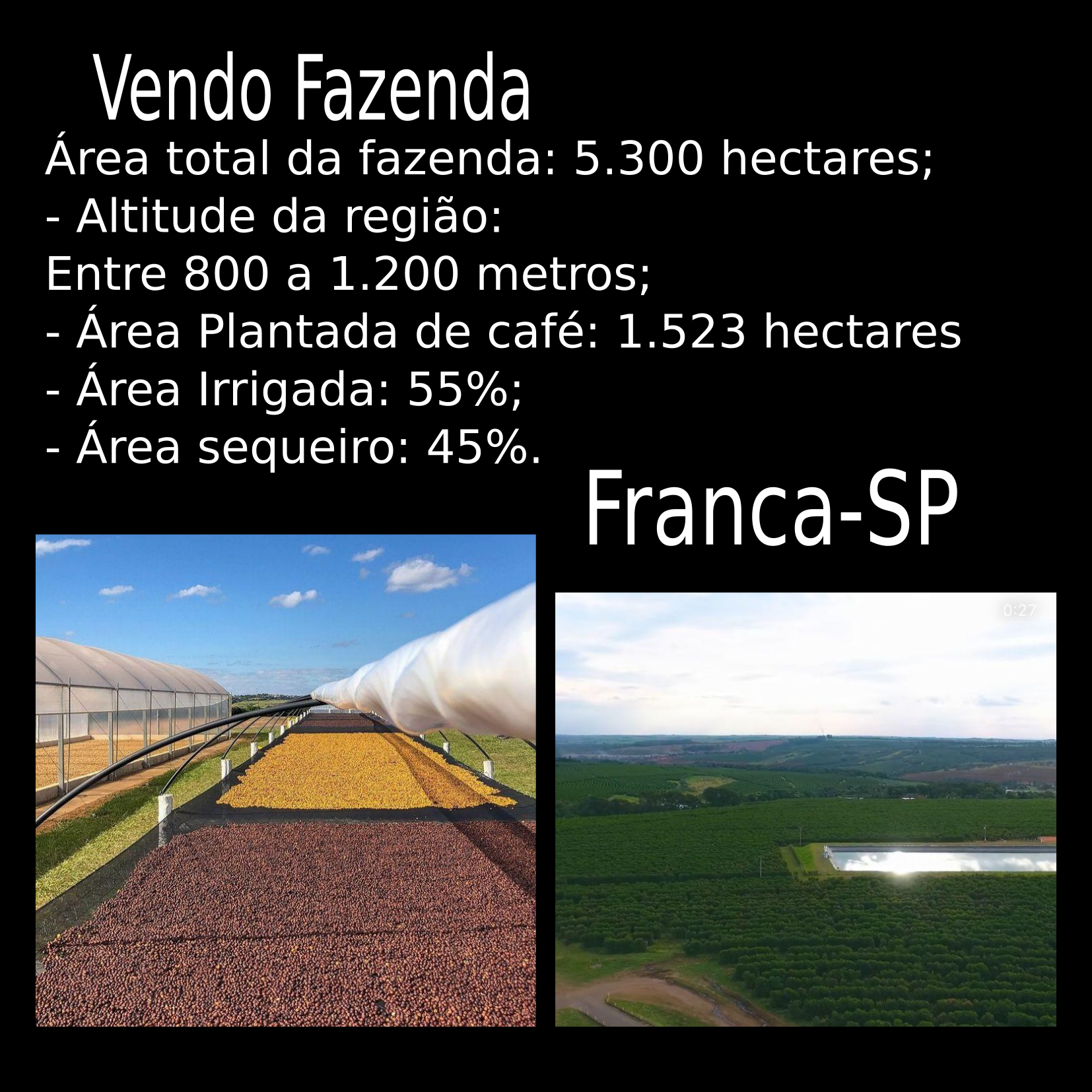 VENDO FAZENDA DE CAFÉ 5300 HECTARES- FRANCA-SP capa