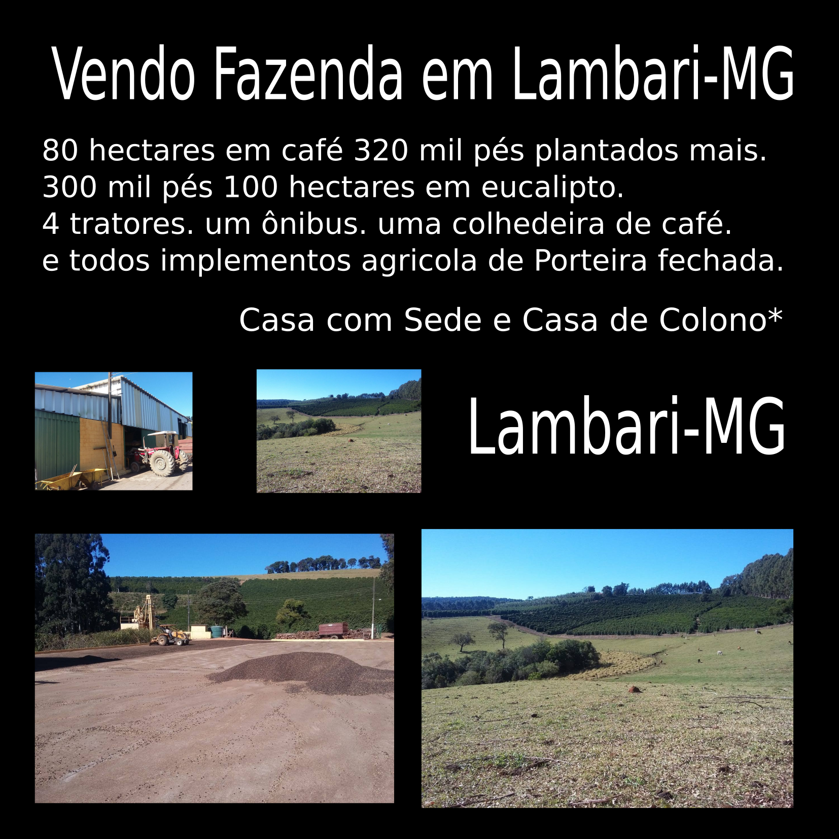 Vendo 200 Hectares entre Carmo de Minas e São Lourenço-MG 01