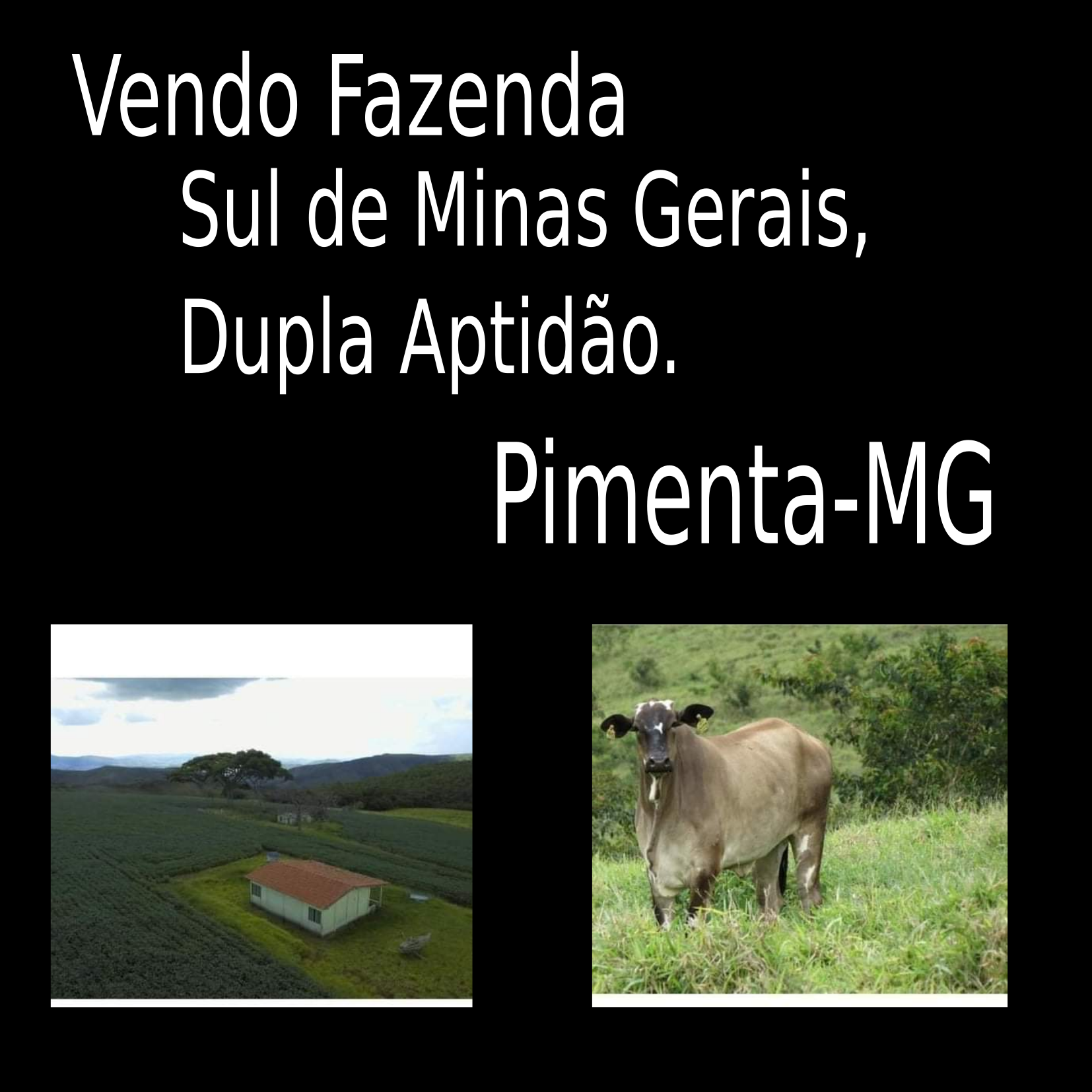 Vendo Fazenda de 1.238,54 hectares- Pimenta-MG 01.jpeg