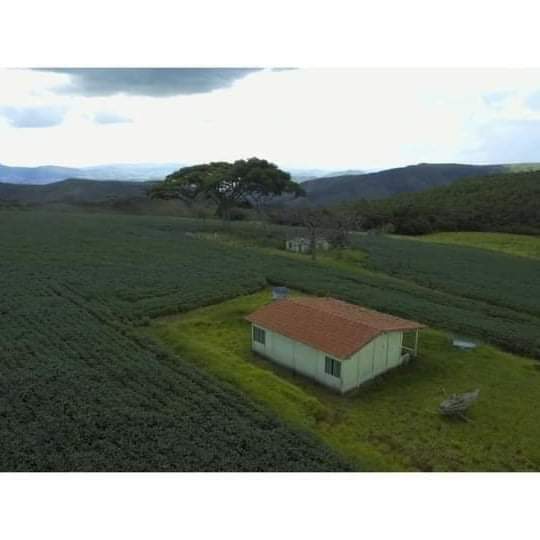 Vendo Fazenda de 1.238,54 hectares- Pimenta-MG 04