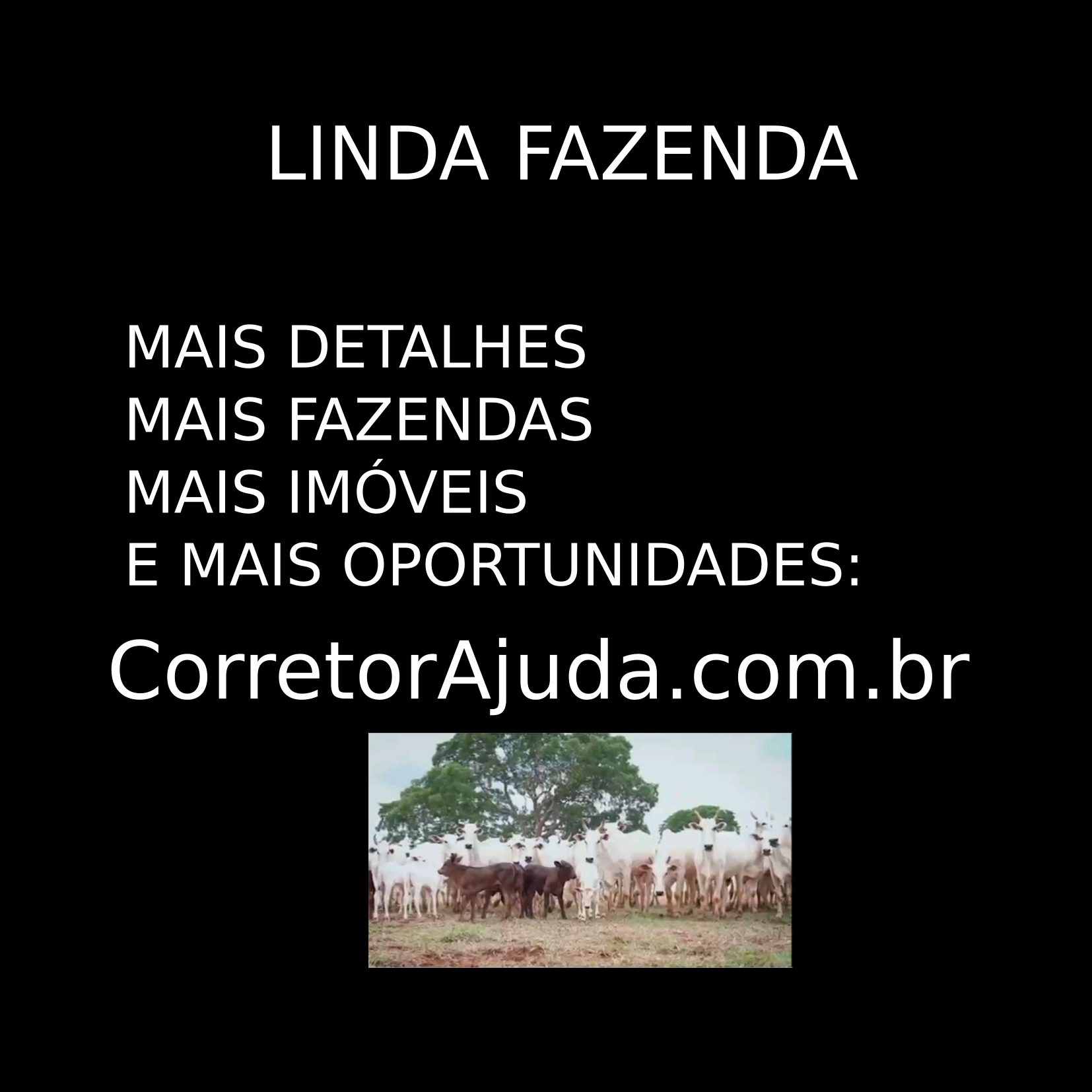 Vendo Fazenda de 11200 Hectares em Minas Gerais-MG 01