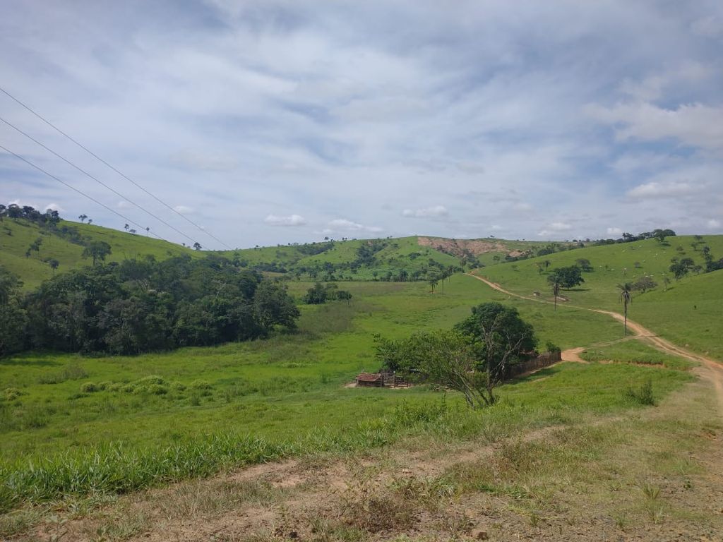 Vendo Fazenda de 3380 hectares- Santa Rosa da Serra-MG 0008