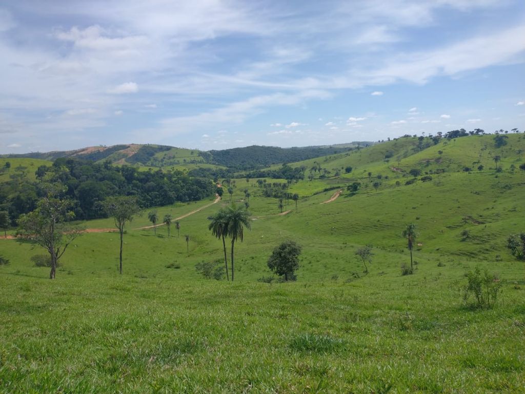 Vendo Fazenda de 3380 hectares- Santa Rosa da Serra-MG 013