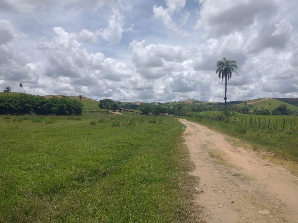 Vendo Fazenda de 3380 hectares- Santa Rosa da Serra-MG