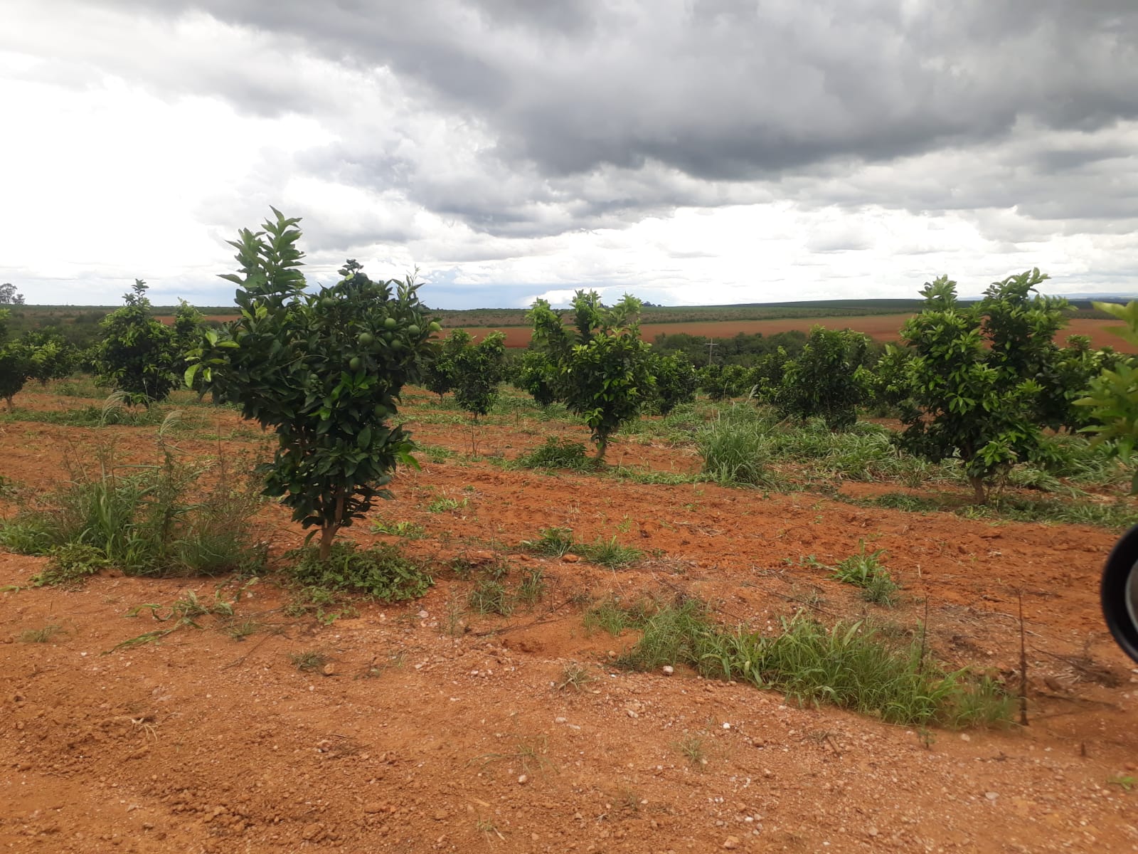 Vendo Fazenda de 80 Hectares- Serra do Salitre-MG 058