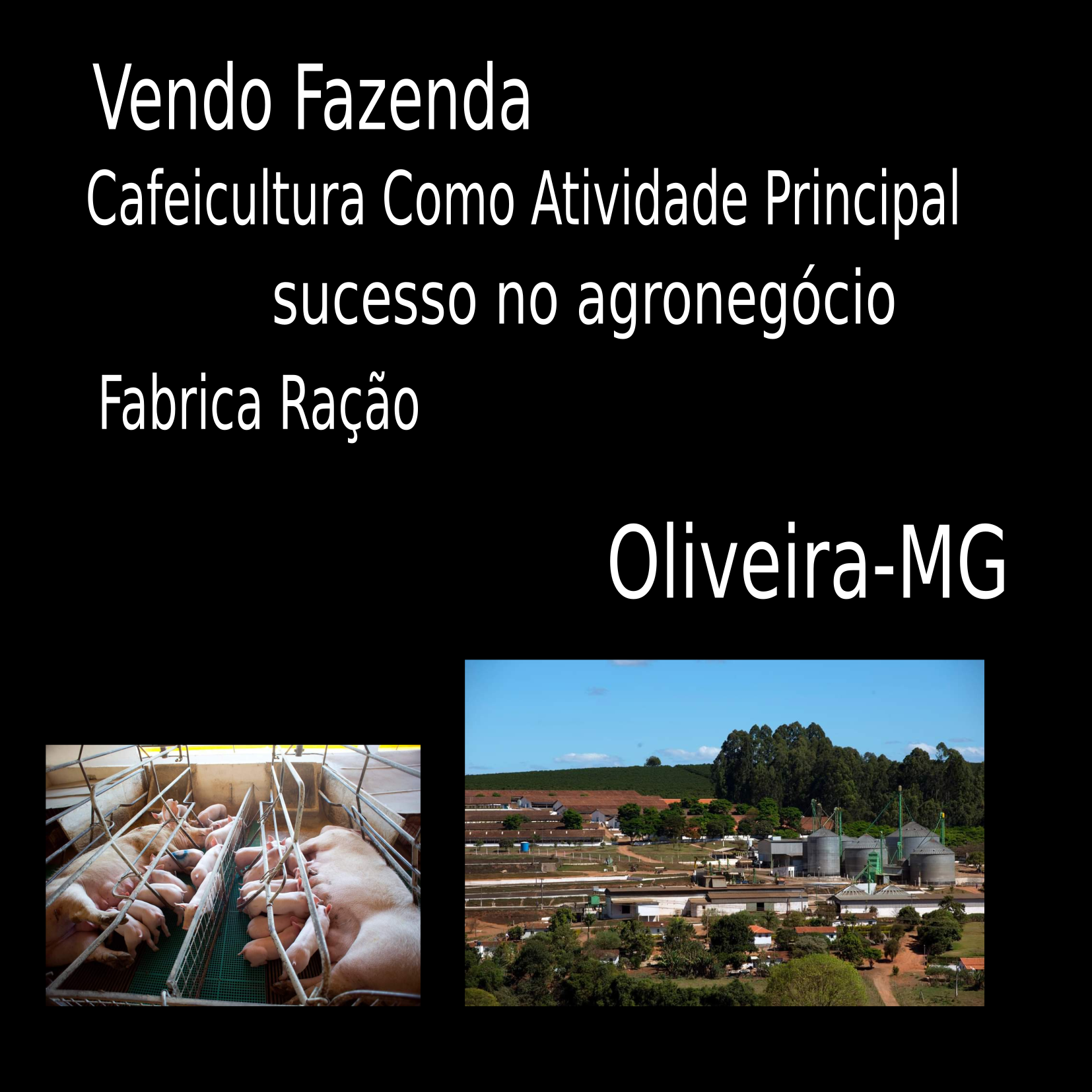 Vendo fazenda de 2000 hectares Oliveira- MG 02