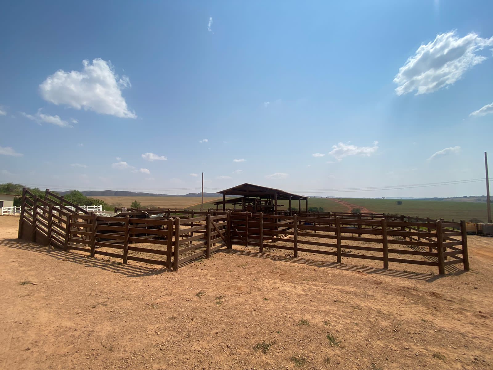 vendo fazenda de 139 hectares Araxá-Mg 013