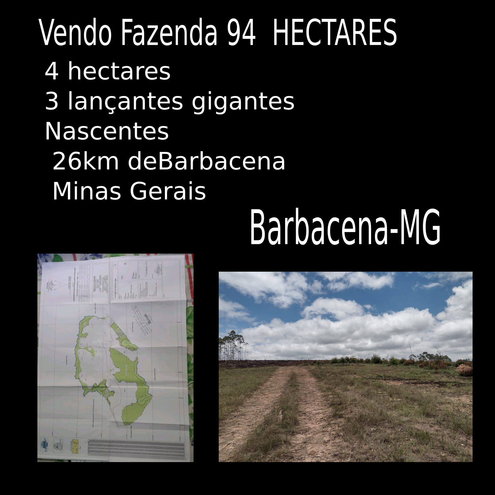 vendo fazenda de 94 hectares em barbace-mg capa