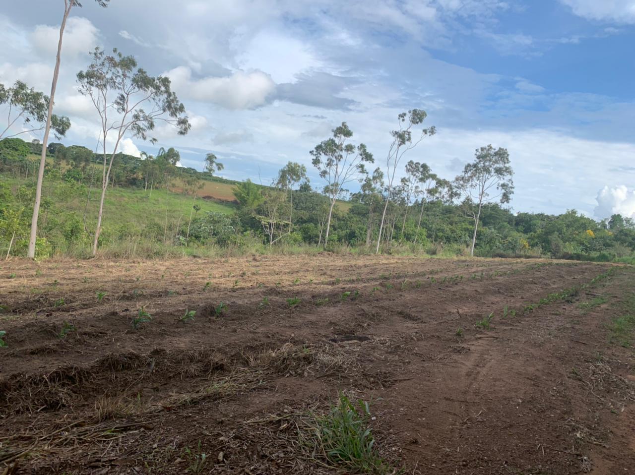 Vendo Fazenda de 1430 Hectares Região de Sacramento-MG 07