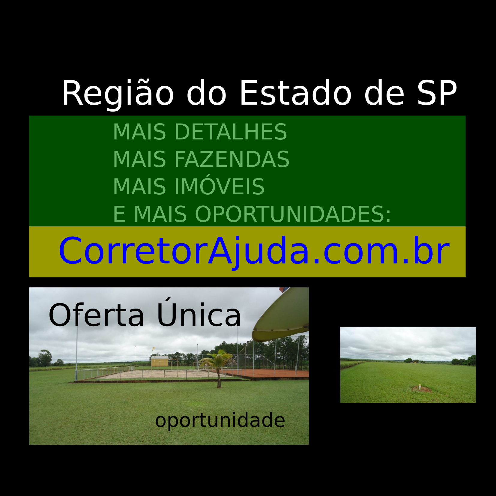 Vendo Fazenda de 1467 Alqueires Localização Estado de São Paulo-SP 03