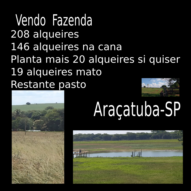 Vendo Fazenda de 208 Alqueires - Araçatuba-SP