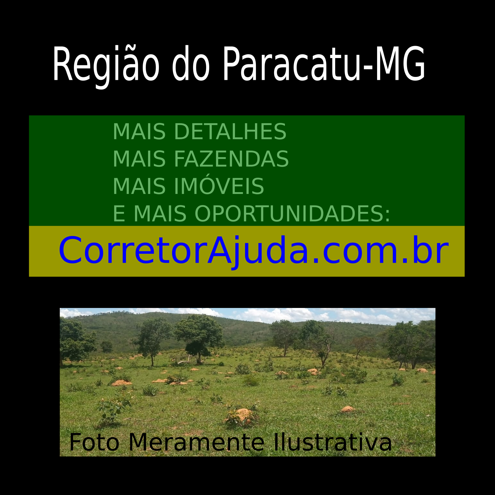 Vendo Fazenda de 252 Hectares Paracatu-MG 0003
