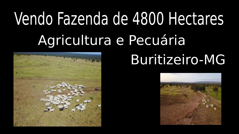 Vendo Fazenda de 4800 Hectares- Buritizeiros-MG 11