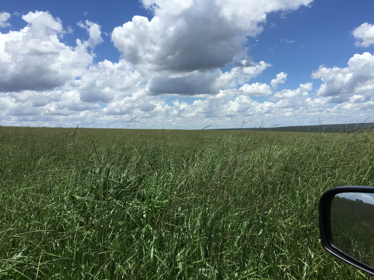 Vendo Fazenda de 6345 Hectares- Chapadão do Céu- GO 01