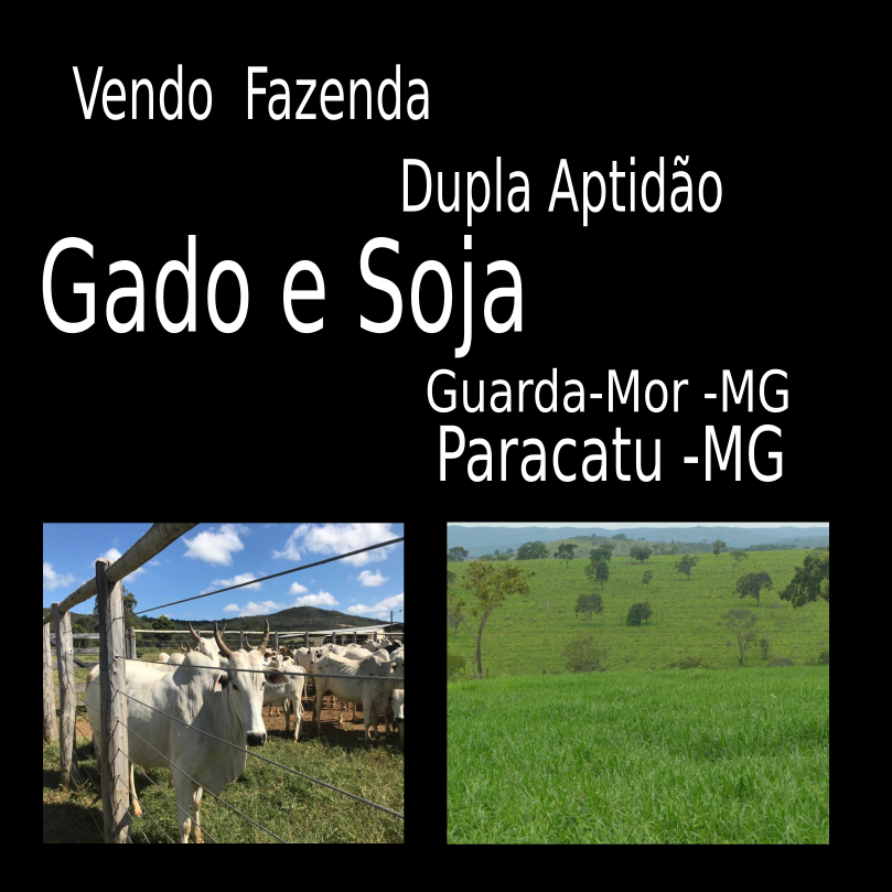 Vendo Fazenda de 756 Hectares em Paracatu-MG 01 capa 1.jpeg