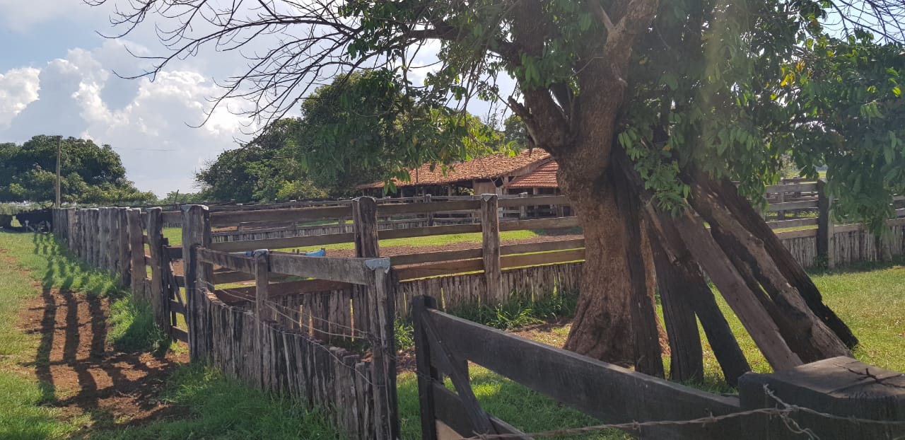 vendo fazenda de 208 alqueires Araçatuba- SP 07