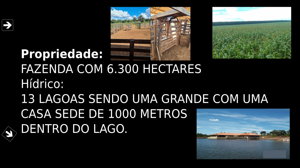 Vendo Fazenda 6300 Hectares São Romão-MG c03