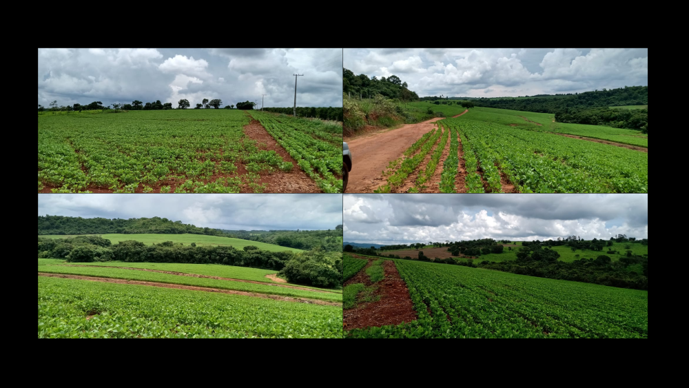 Vendo Fazenda de 109 Alqueires- Itamogi-MG c14