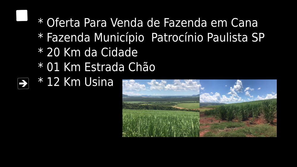 Vendo Fazenda de 174 Hectares- Patrocínio Paulista-MG c3