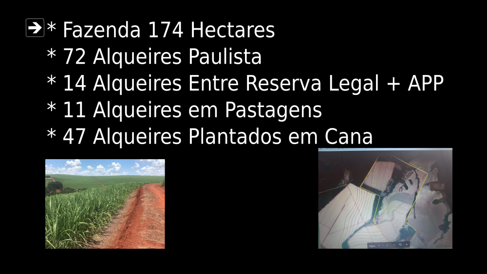Vendo Fazenda de 174 Hectares- Patrocínio Paulista-MG c4