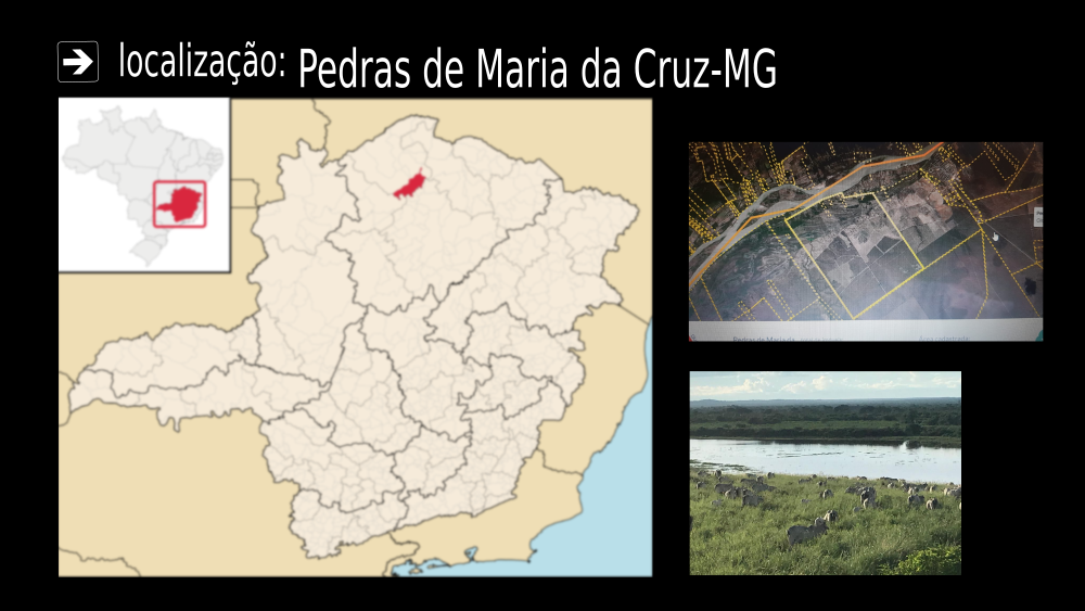 Vendo Fazenda de 2148 Hectares Pedras de Maria da Cruz-MG c 08