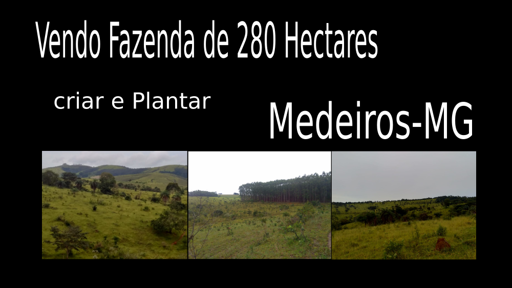 Vendo Fazenda de 280 Hectares- Medeiros-MG capa