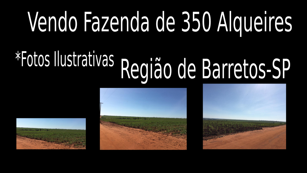 Vendo Fazenda de 350 Alqueires Região de Barretos-SPc01