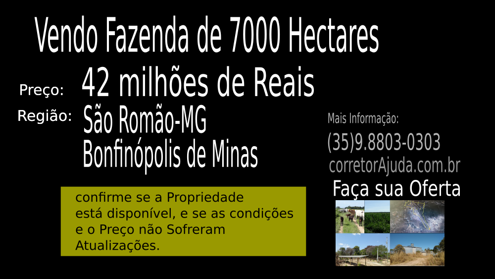 Vendo Fazenda de 7000 Hectares São Romão-MG c02