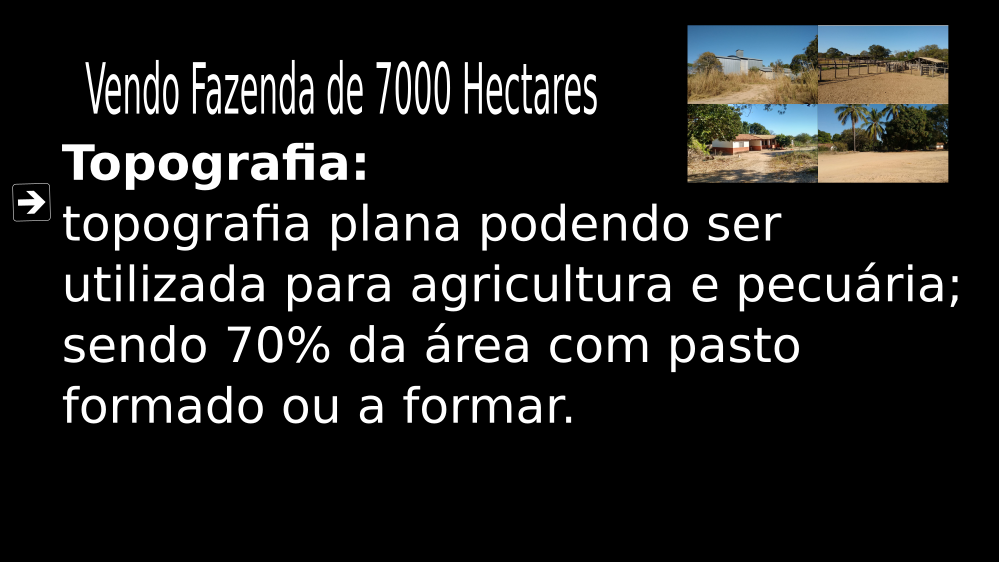 Vendo Fazenda de 7000 Hectares São Romão c05-MG