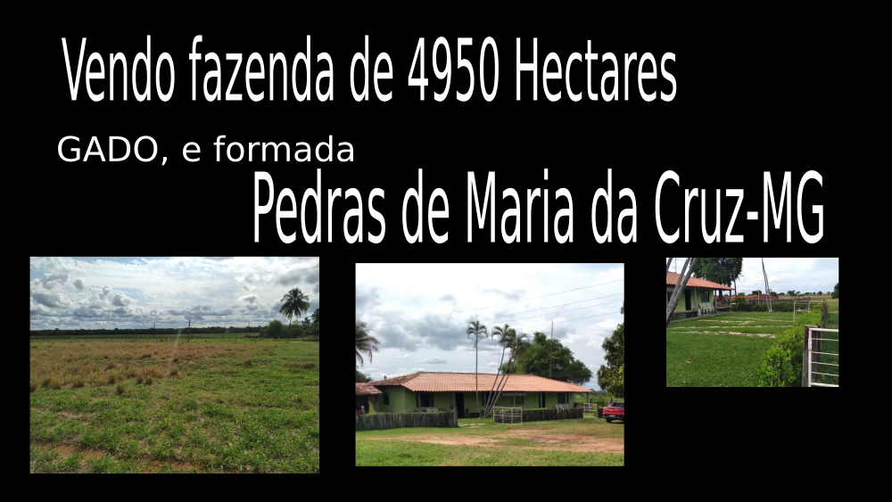 Vendo fazenda de 4950 Hectares- Pedras de Maria da Cruz- MG c 01