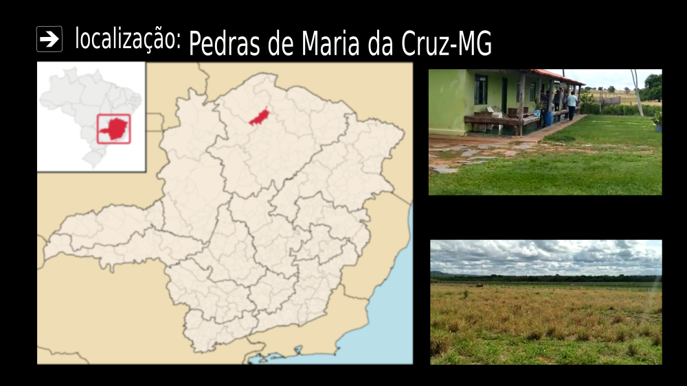 Vendo fazenda de 4950 Hectares- Pedras de Maria da Cruz- MG c 08