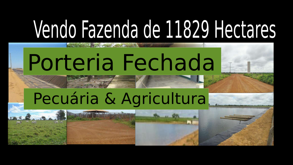 Vendo Fazenda de 11829 Hectares- Jussara-G0 C02