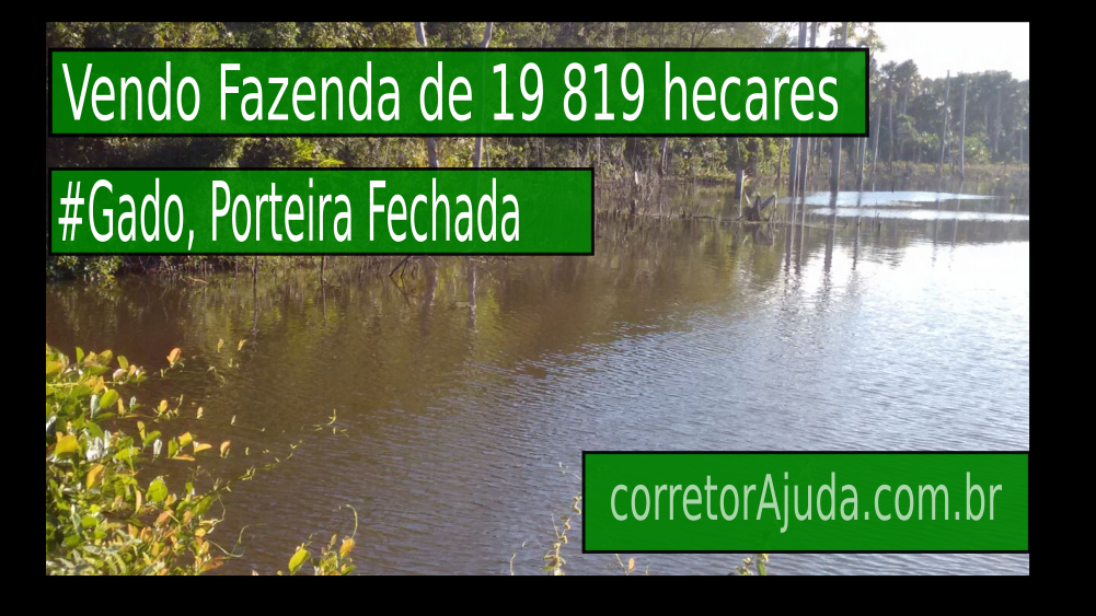 Vendo Fazenda de 19819 hecares -Norte de Tocantins-TO c01