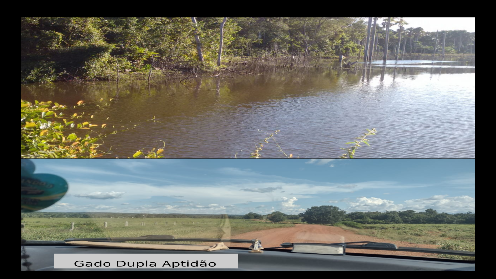 Vendo Fazenda de 19819 hecares -Norte de Tocantins-TO c14