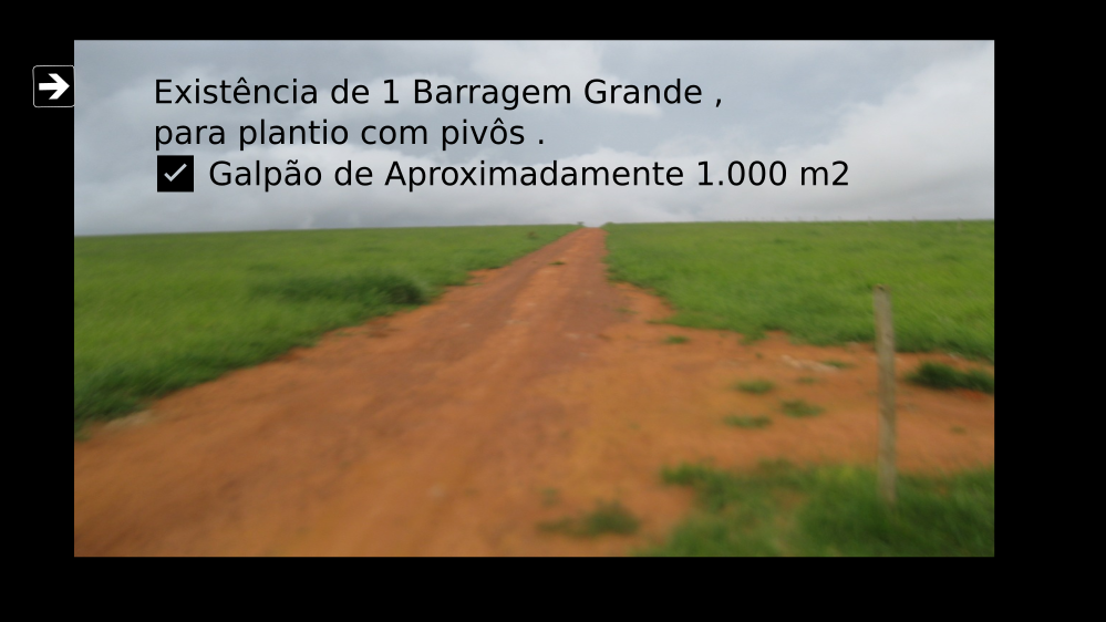 Vendo Fazenda de 2000 Hectares- Água Fria de Goiás - GO c4