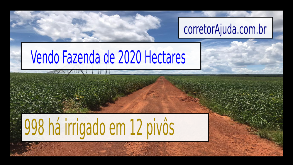 Vendo Fazenda de 2020 Hectares no Município Ipameri e Cristalina GO c1