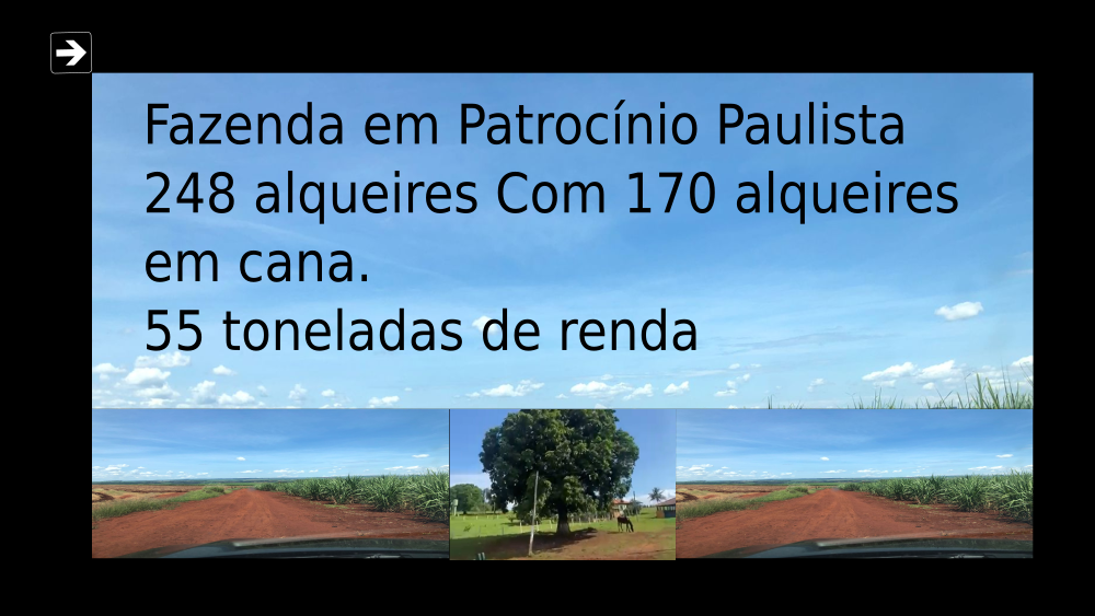 Vendo Fazenda de 248 Alqueres- Patrocínio Paulista-SP c4