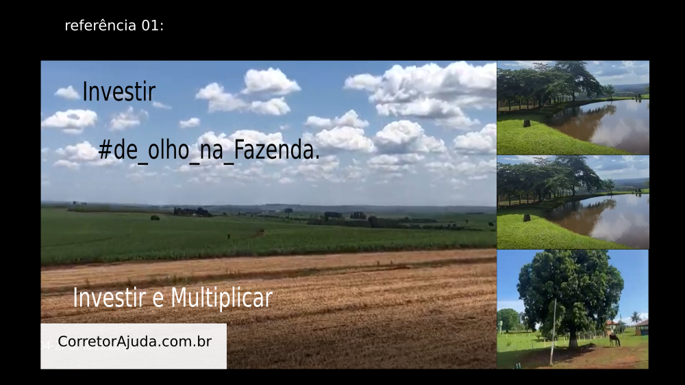 Vendo Fazenda de 248 Alqueres- Patrocínio Paulista-SP c6