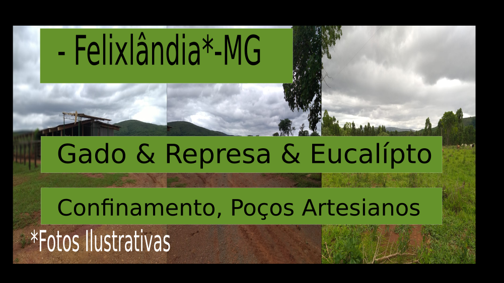 Vendo Fazenda de 794 hectares- Felixlândia-MG 02