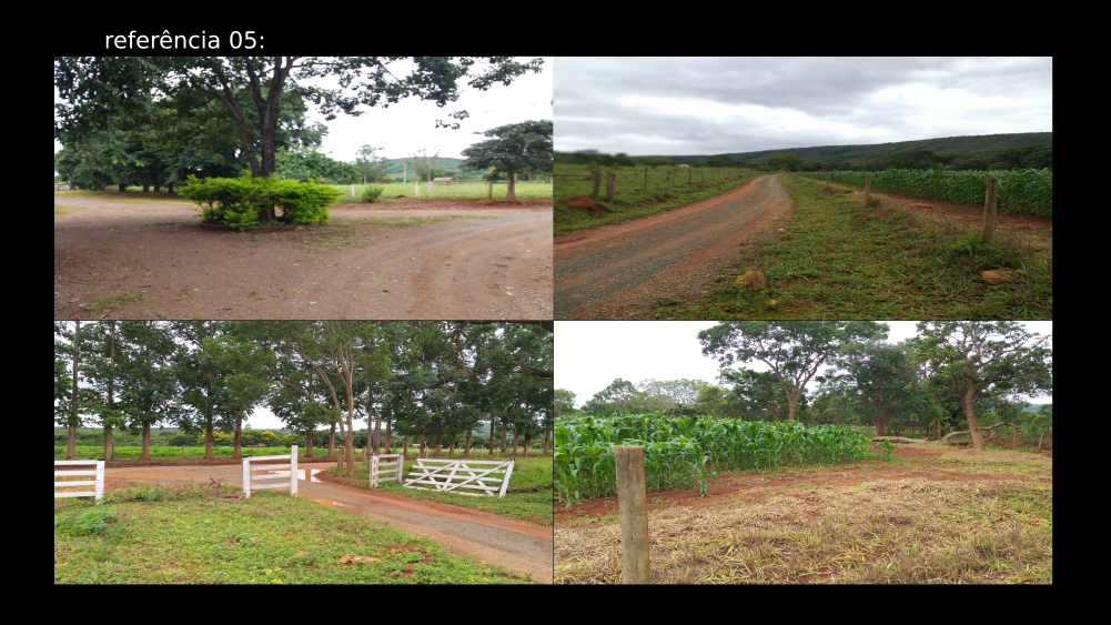 Vendo Fazenda de 794 hectares- Felixlândia-MG 11