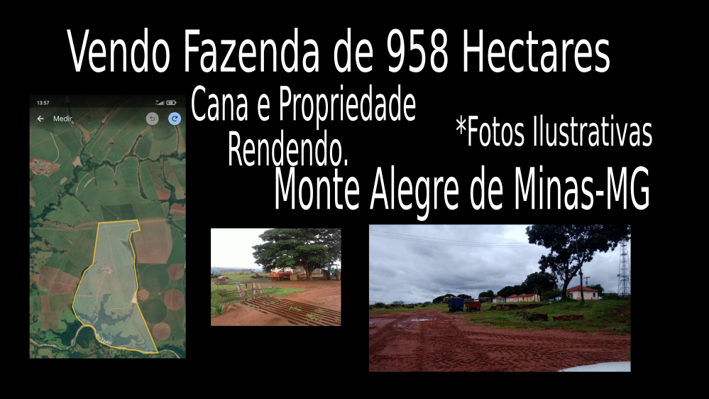 Vendo Fazenda de 958 Hectares- Monte Alegre de Minas-MG c02