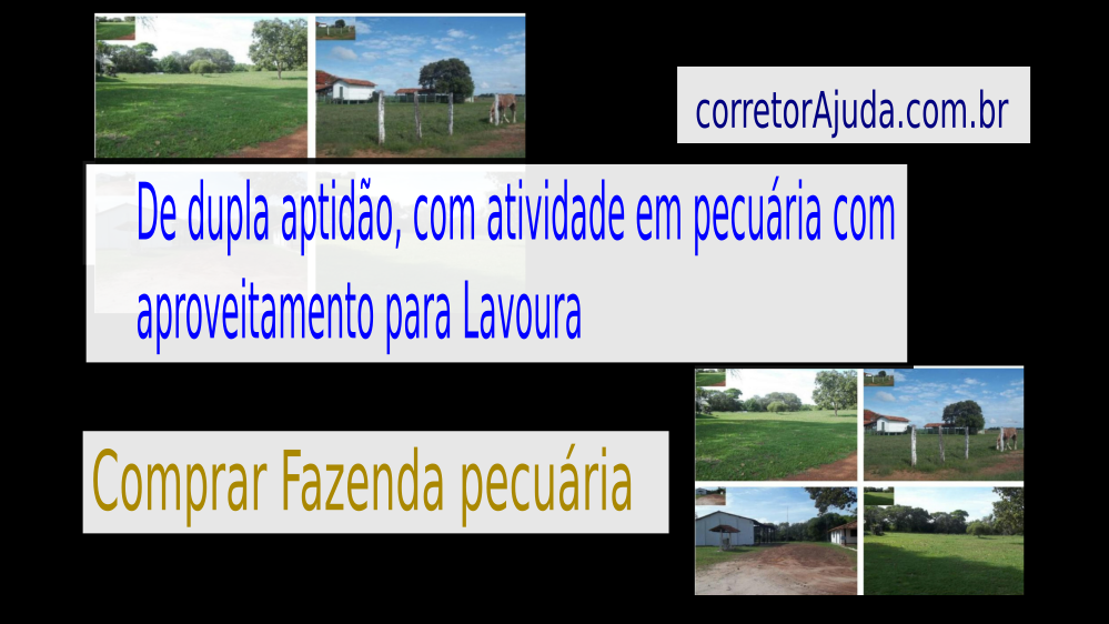 Vendo fazendas de 93.400 Hectares - São Felix do Araguaia-MT c01