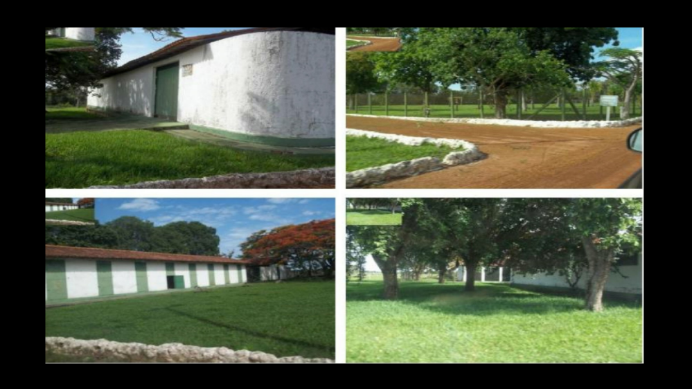 Vendo fazendas de 93.400 Hectares - São Felix do Araguaia-MT c05