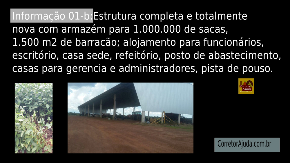 Vendo Fazenda de 39000 Hectares-Santa Terezinha-MTc05