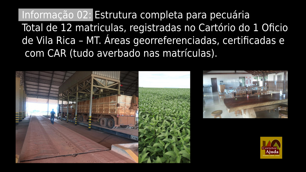 Vendo Fazenda de 39000 Hectares-Santa Terezinha-MTc06