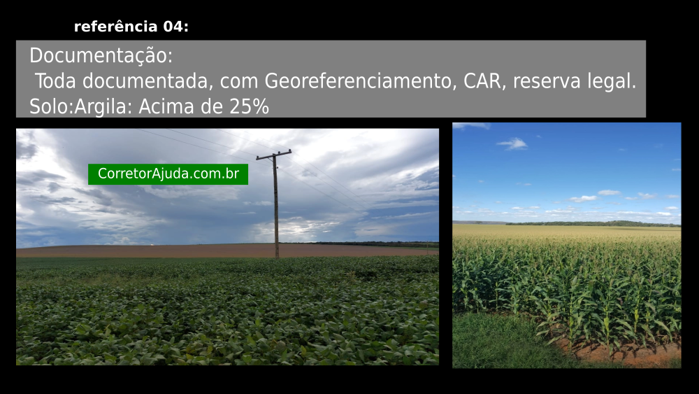 Vendo Fazenda de 610 Hectares- Unaí-MG c10