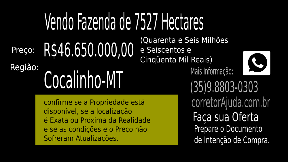 Vendo Fazenda de 7527 Hectares-Cocalinho-MTc01