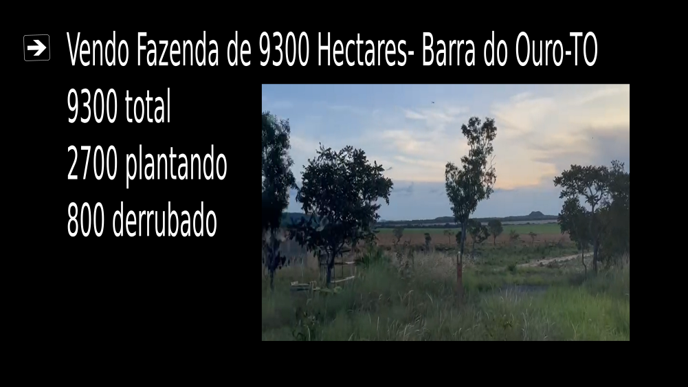 Vendo Fazenda de 9300 Hectares- Barra do Ouro-To c005